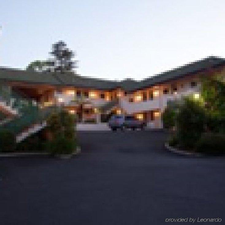 Ashwood Manor Motor Lodge Hamilton Esterno foto